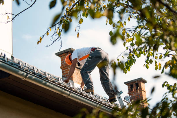 Best Roof Gutter Cleaning  in Lowell, AR