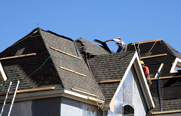 Best Roof Gutter Cleaning  in Lowell, AR