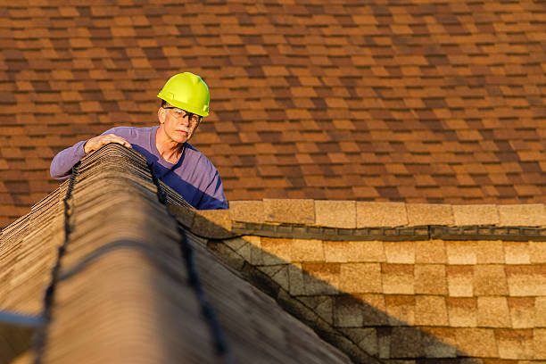 Roof Gutter Cleaning in Lowell, AR